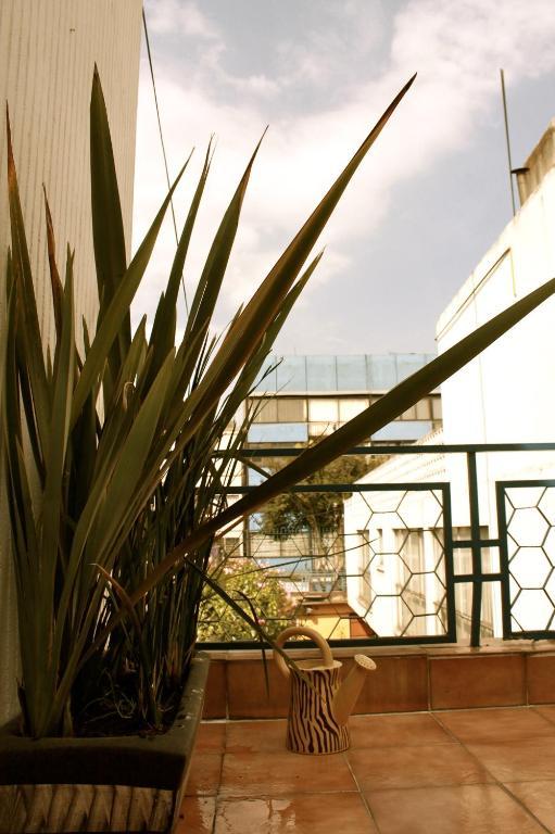 فندق La Casa 142 مدينة مكسيكو المظهر الخارجي الصورة